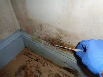 Drying equipment running in a Brockton home after water damage